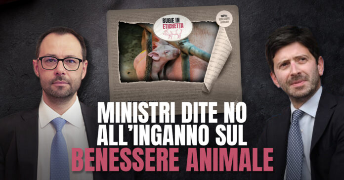 TW_CARD_Ministri