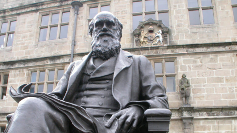 Statua di Charles Darwin seduto