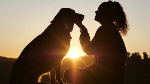 Donna con cane al tramonto